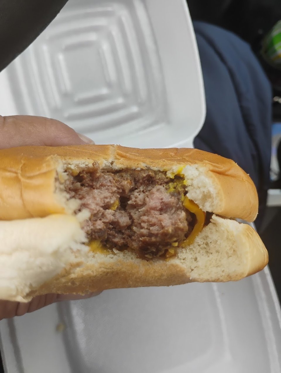 Hot meal presented for dine-in service.